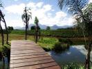 Walkway across natural lake